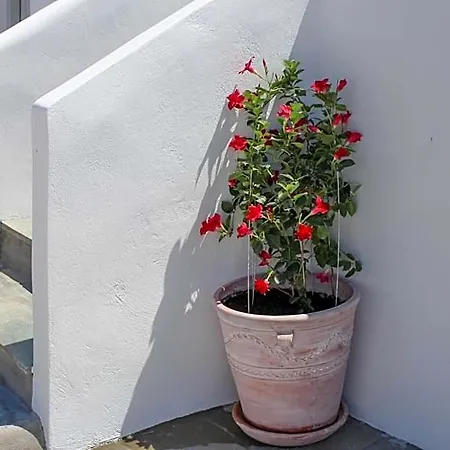 Crystal View Mykonos Aparthotel Mykonos Town