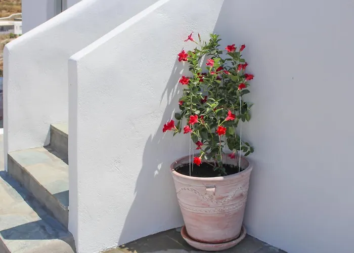 Crystal View Mykonos 4*